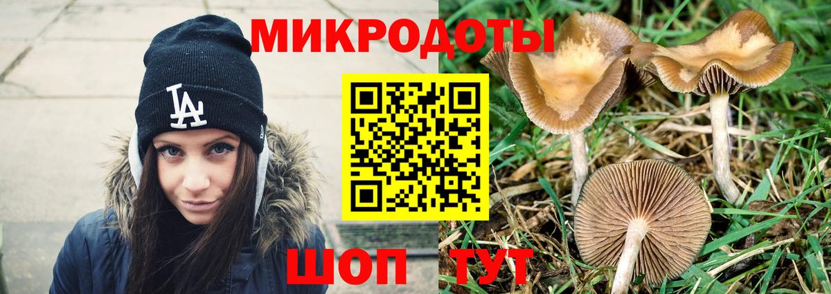 Псилоцибиновые грибы Magic Shrooms  Вход с VPN  Сорочинск 